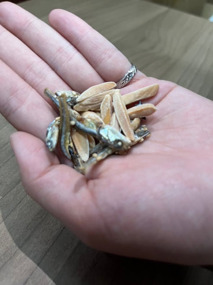 【日本爆紅零食登場】~杏仁小魚乾 - Image 6