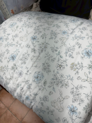 K40棉被韓國連線12/2結單