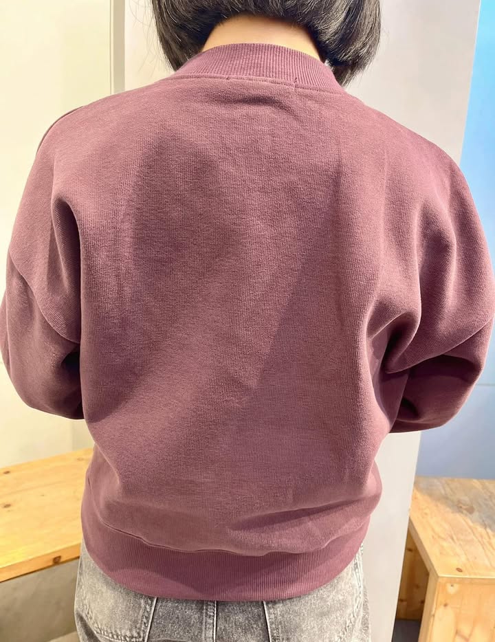英文刺繡刷毛大學T:圖片 6