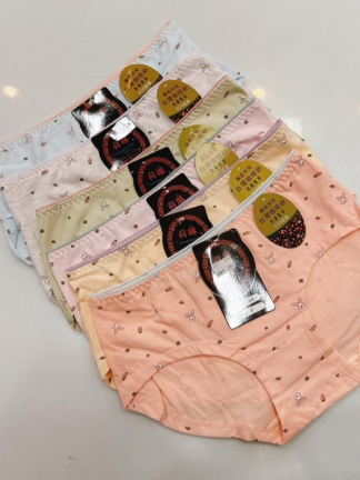 可愛兔兔小褲褲登場