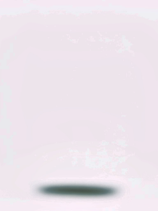 牛仔包貓咪印花短袖T